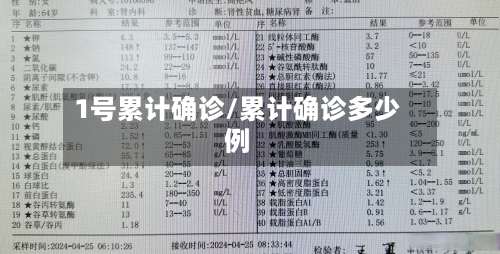 1号累计确诊/累计确诊多少例
