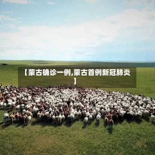 【蒙古确诊一例,蒙古首例新冠肺炎】