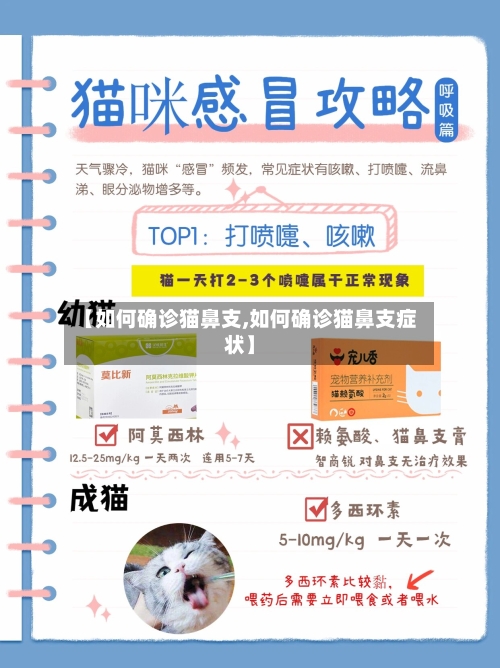 【如何确诊猫鼻支,如何确诊猫鼻支症状】
