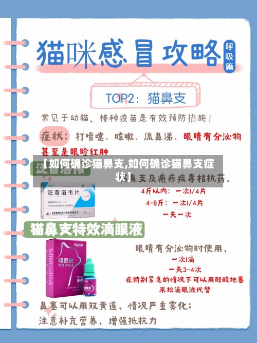 【如何确诊猫鼻支,如何确诊猫鼻支症状】-第2张图片