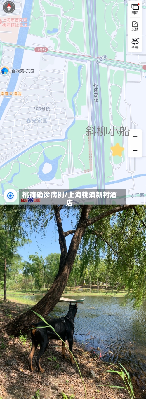 桃浦确诊病例/上海桃浦新村酒店