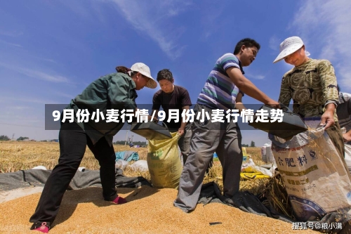 9月份小麦行情/9月份小麦行情走势