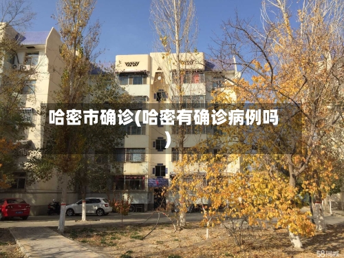 哈密市确诊(哈密有确诊病例吗)-第2张图片