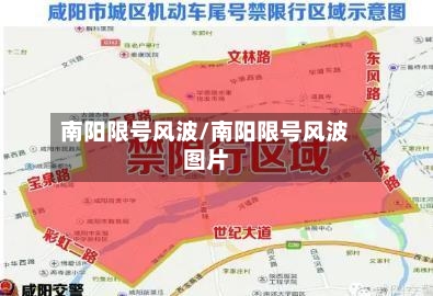 南阳限号风波/南阳限号风波图片-第2张图片