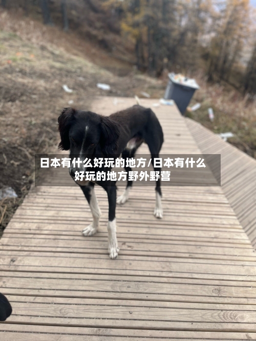 日本有什么好玩的地方/日本有什么好玩的地方野外野营-第2张图片