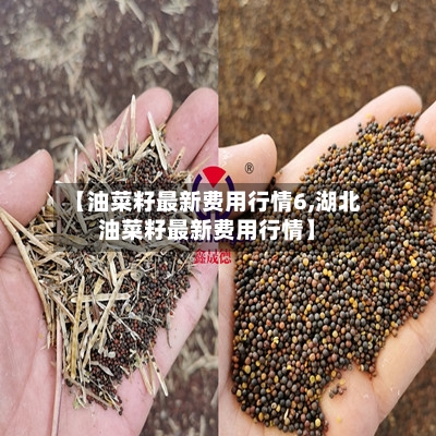【油菜籽最新费用行情6,湖北油菜籽最新费用行情】-第2张图片