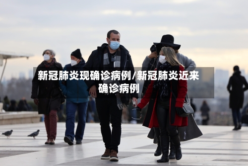 新冠肺炎现确诊病例/新冠肺炎近来确诊病例