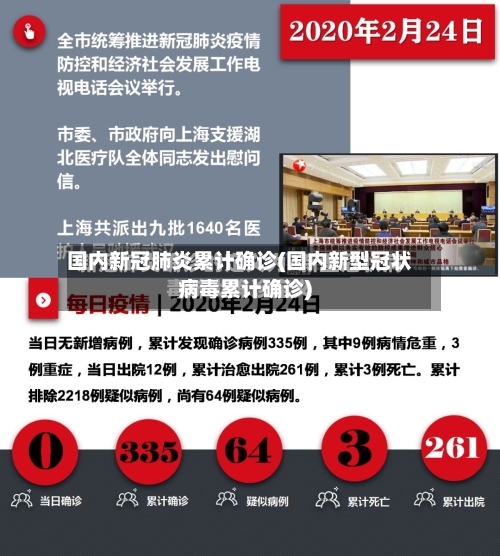 国内新冠肺炎累计确诊(国内新型冠状病毒累计确诊)