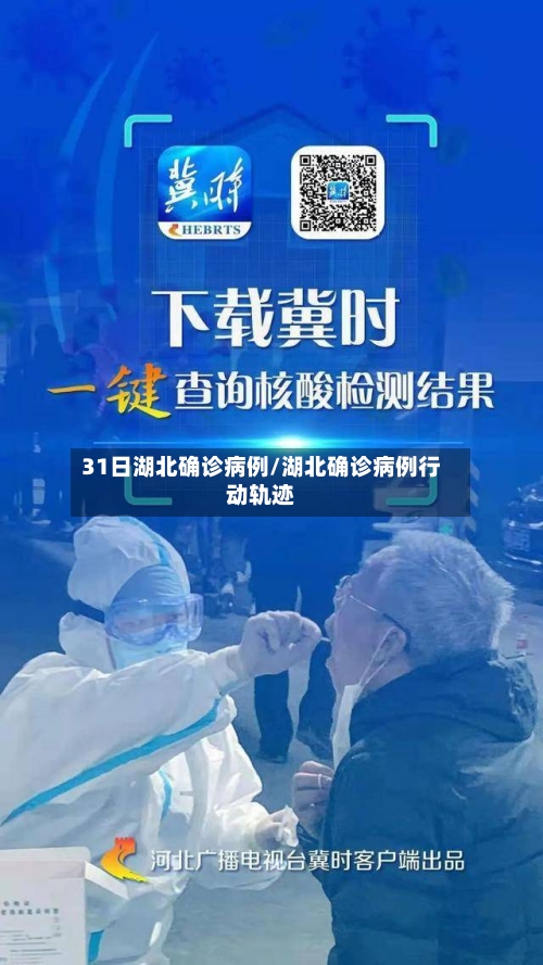 31日湖北确诊病例/湖北确诊病例行动轨迹