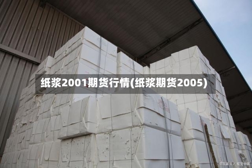 纸浆2001期货行情(纸浆期货2005)