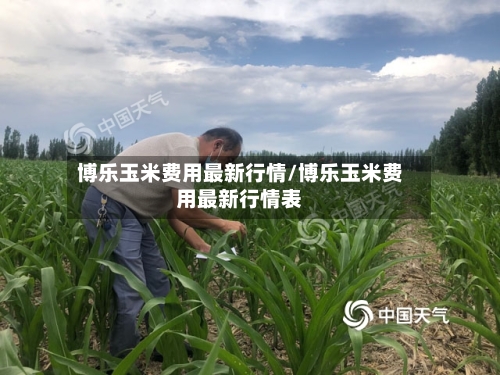 博乐玉米费用最新行情/博乐玉米费用最新行情表-第3张图片
