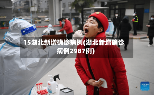 15湖北新增确诊病例(湖北新增确诊病例2987例)-第2张图片