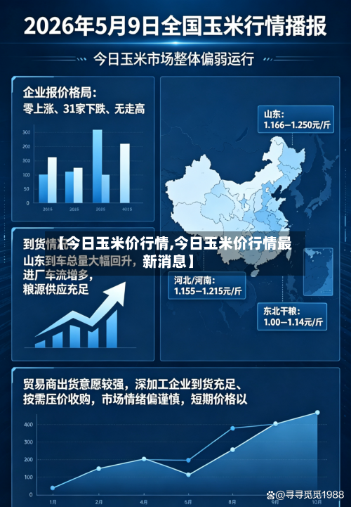 【今日玉米价行情,今日玉米价行情最新消息】