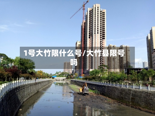 1号大竹限什么号/大竹县限号吗-第2张图片