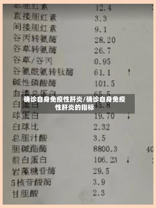 确诊自身免疫性肝炎/确诊自身免疫性肝炎的指标-第3张图片