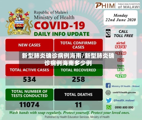 新型肺炎确诊病例海南/新型肺炎确诊病例海南多少例