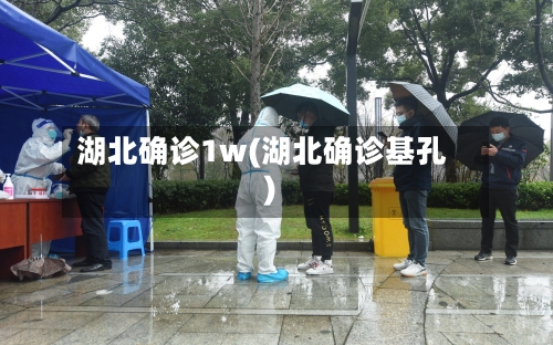 湖北确诊1w(湖北确诊基孔)