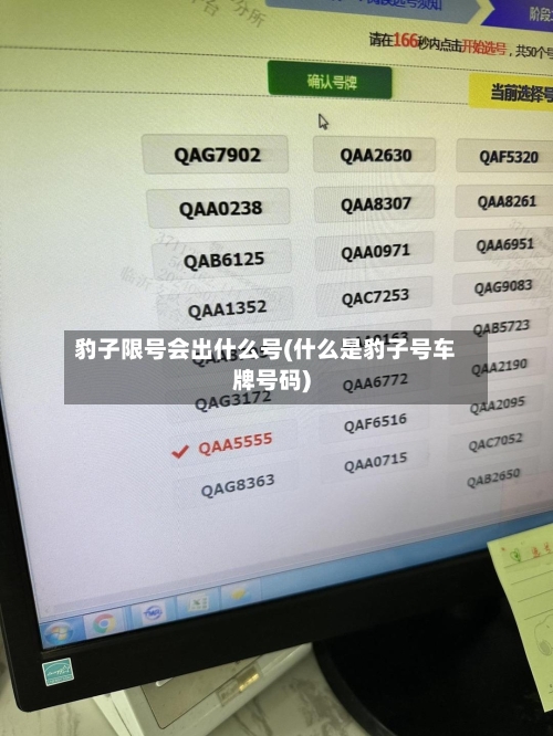豹子限号会出什么号(什么是豹子号车牌号码)