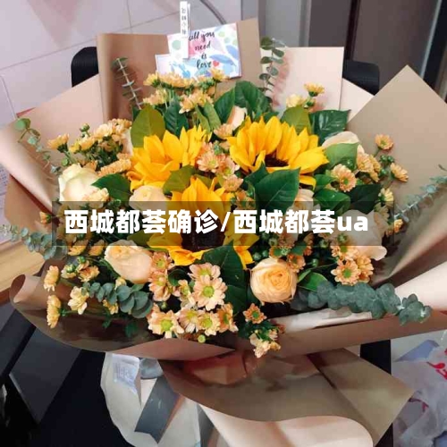 西城都荟确诊/西城都荟ua