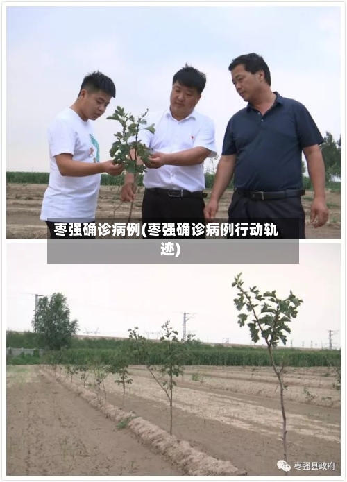 枣强确诊病例(枣强确诊病例行动轨迹)