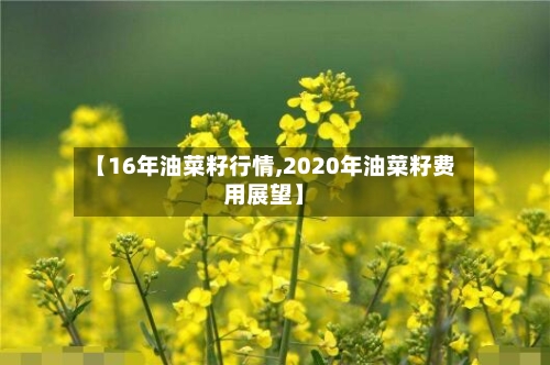 【16年油菜籽行情,2020年油菜籽费用展望】-第1张图片