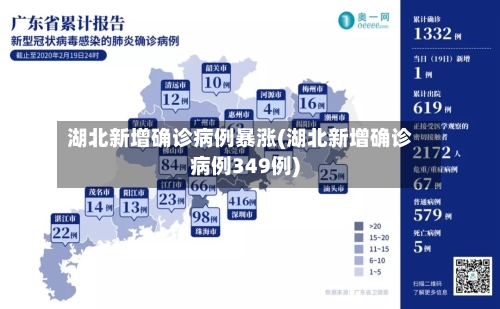 湖北新增确诊病例暴涨(湖北新增确诊病例349例)-第2张图片