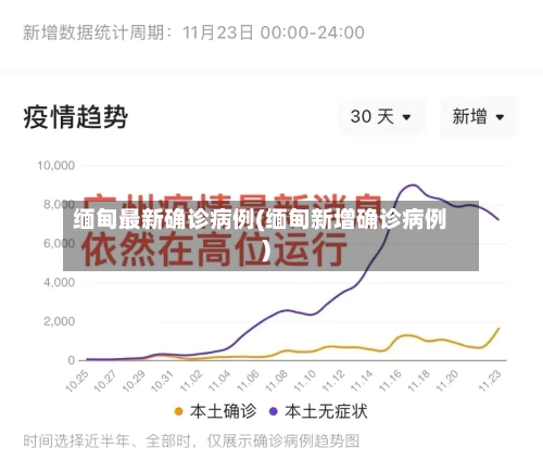 缅甸最新确诊病例(缅甸新增确诊病例)