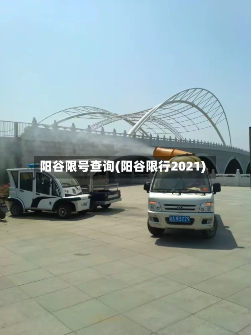 阳谷限号查询(阳谷限行2021)-第3张图片