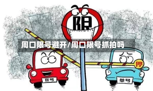 周口限号避开/周口限号抓拍吗