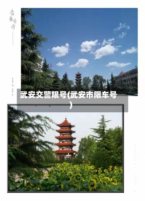 武安交警限号(武安市限车号)