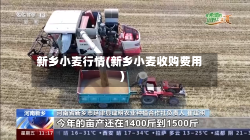 新乡小麦行情(新乡小麦收购费用)
