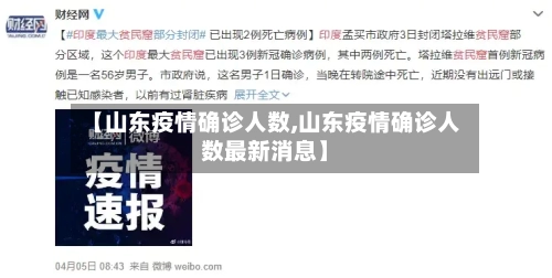 【山东疫情确诊人数,山东疫情确诊人数最新消息】-第2张图片
