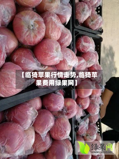 【临猗苹果行情走势,临猗苹果费用绿果网】-第2张图片