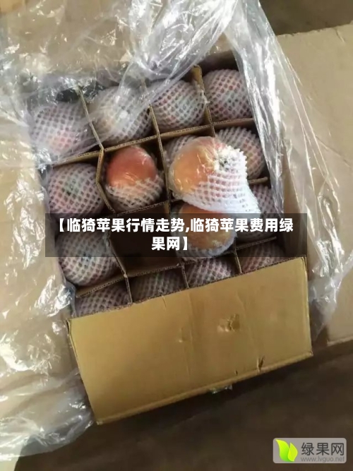 【临猗苹果行情走势,临猗苹果费用绿果网】