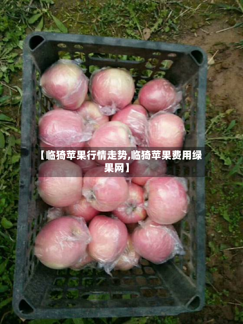 【临猗苹果行情走势,临猗苹果费用绿果网】-第3张图片