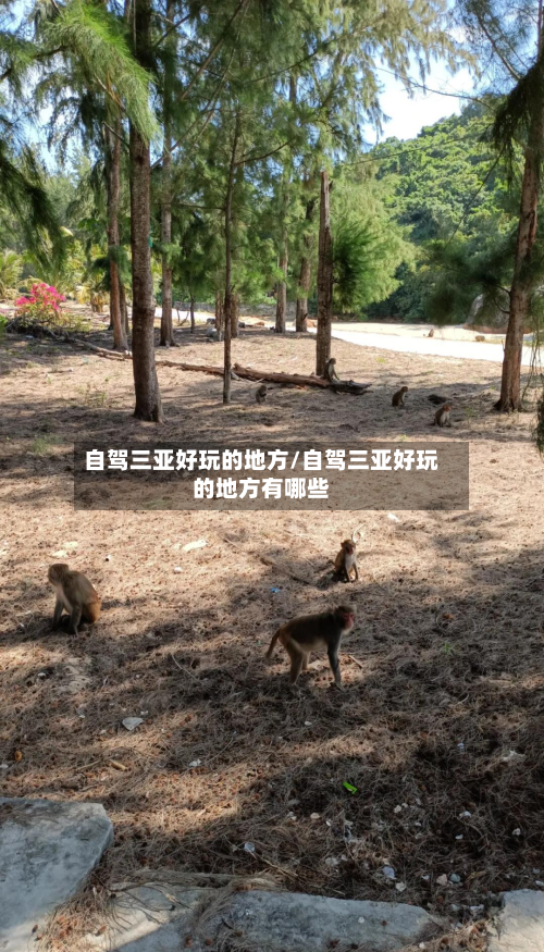 自驾三亚好玩的地方/自驾三亚好玩的地方有哪些
