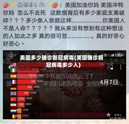 美国多少确诊新冠病毒(美国确诊新冠病毒多少人)-第2张图片