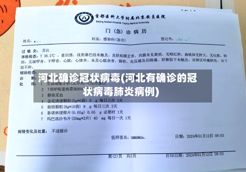 河北确诊冠状病毒(河北有确诊的冠状病毒肺炎病例)-第3张图片