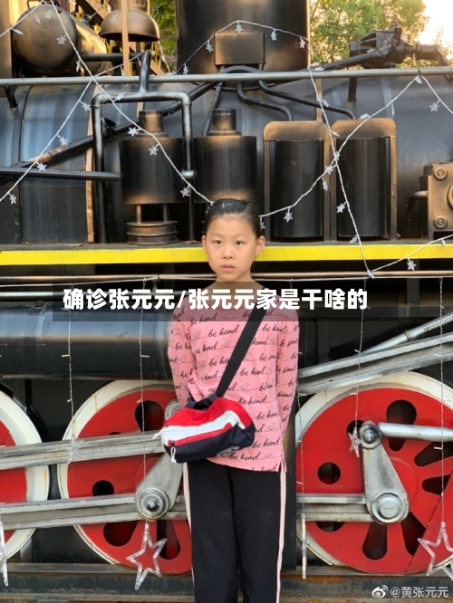确诊张元元/张元元家是干啥的-第2张图片