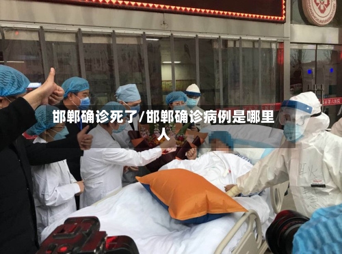 邯郸确诊死了/邯郸确诊病例是哪里人