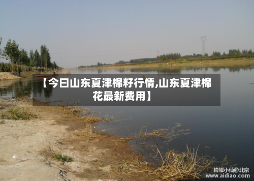【今曰山东夏津棉籽行情,山东夏津棉花最新费用】-第2张图片