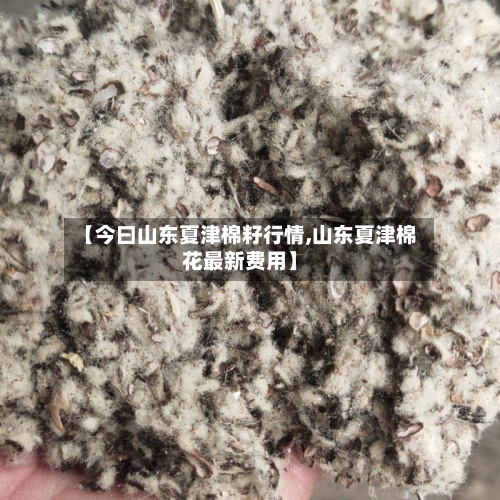 【今曰山东夏津棉籽行情,山东夏津棉花最新费用】