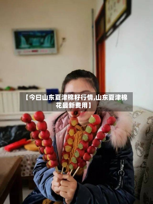 【今曰山东夏津棉籽行情,山东夏津棉花最新费用】-第3张图片