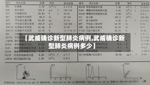 【武威确诊新型肺炎病例,武威确诊新型肺炎病例多少】-第2张图片