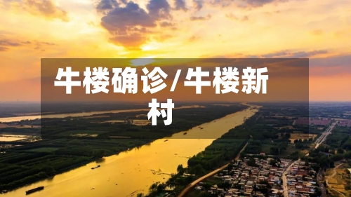 牛楼确诊/牛楼新村
