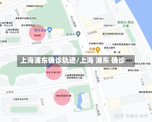 上海浦东确诊轨迹/上海 浦东 确诊-第2张图片