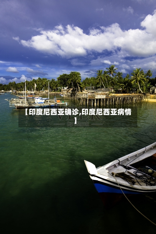 【印度尼西亚确诊,印度尼西亚病情】-第3张图片