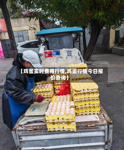 【鸡蛋实时费用行情,鸡蛋行情今日报价查询】