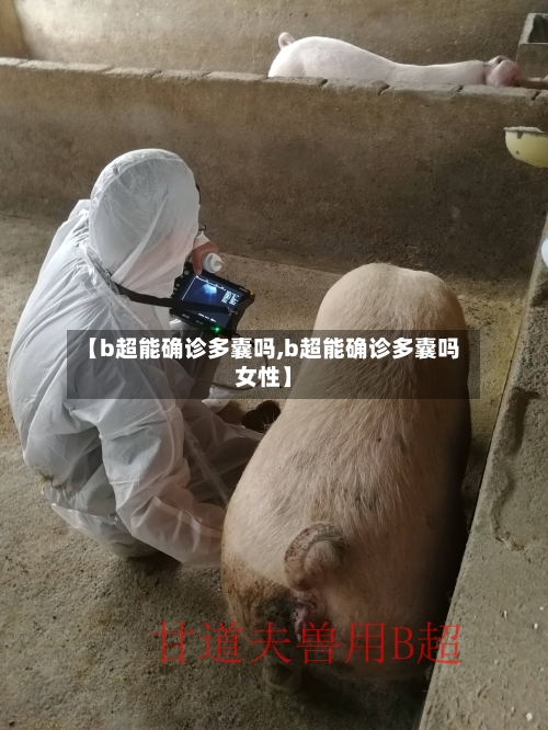 【b超能确诊多囊吗,b超能确诊多囊吗女性】-第3张图片