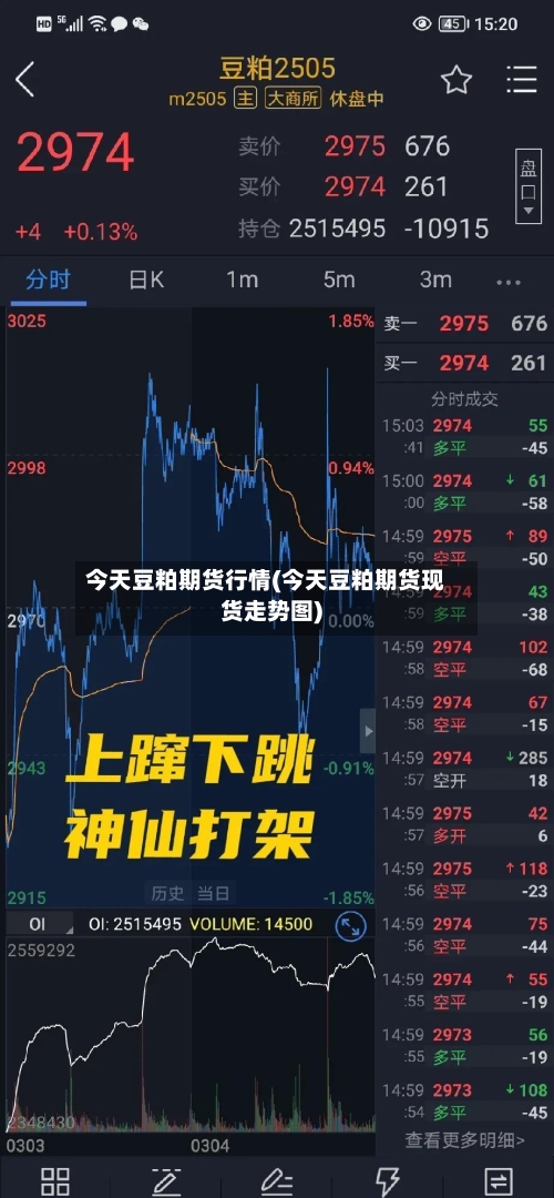 今天豆粕期货行情(今天豆粕期货现货走势图)-第2张图片
